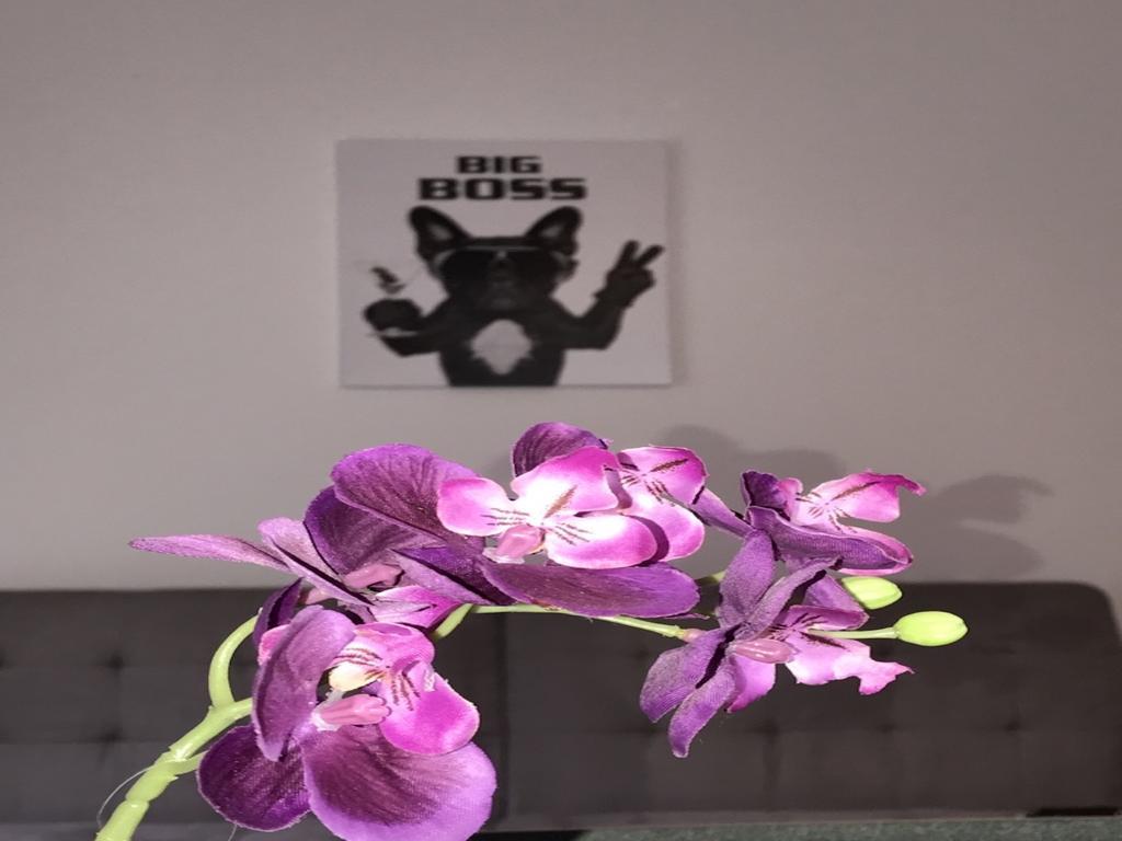 Apartment Am Ring Μπόχουμ Εξωτερικό φωτογραφία